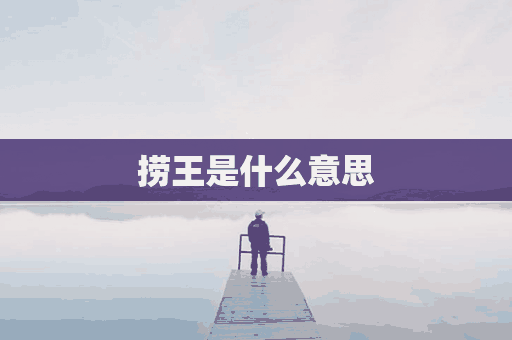 捞王是什么意思